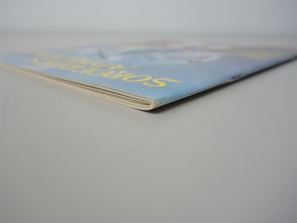 Sorcerer's Apprentice: Issue #9/10