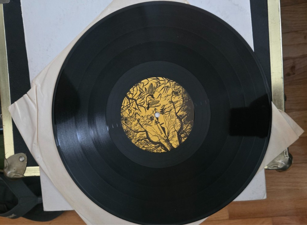 KISS *DESTROYS ANAHEIM* VINTAGE BOOTLEG