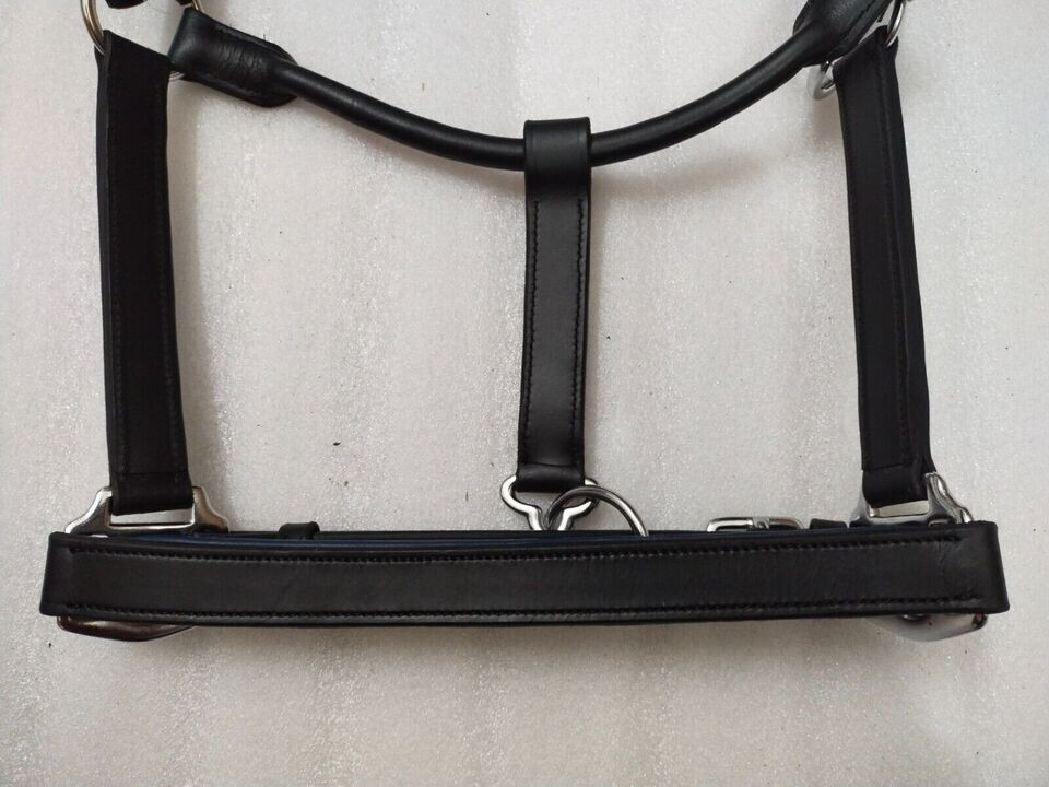 Blue Crystal & Padding Leather Halter With S.S. Fitting For Horse.