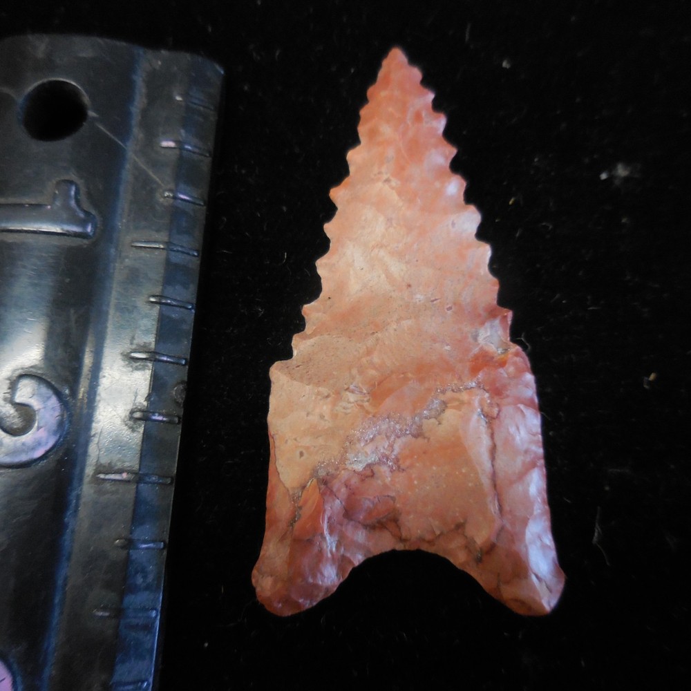 RED SERRATED DALTON POINT--CLASSIC FORM AND FLAKING