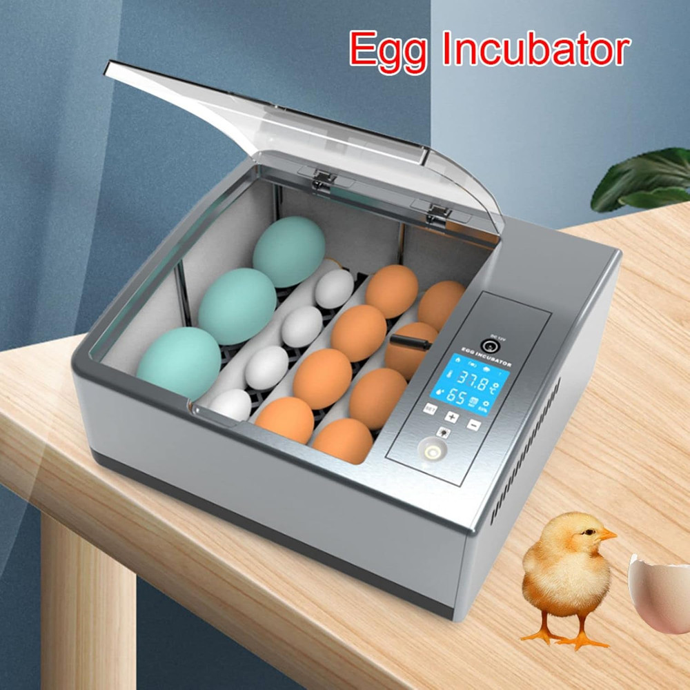16 Chicken Egg Incubator,Mini Automatic Temperature Incubator, Fully Digital Hat