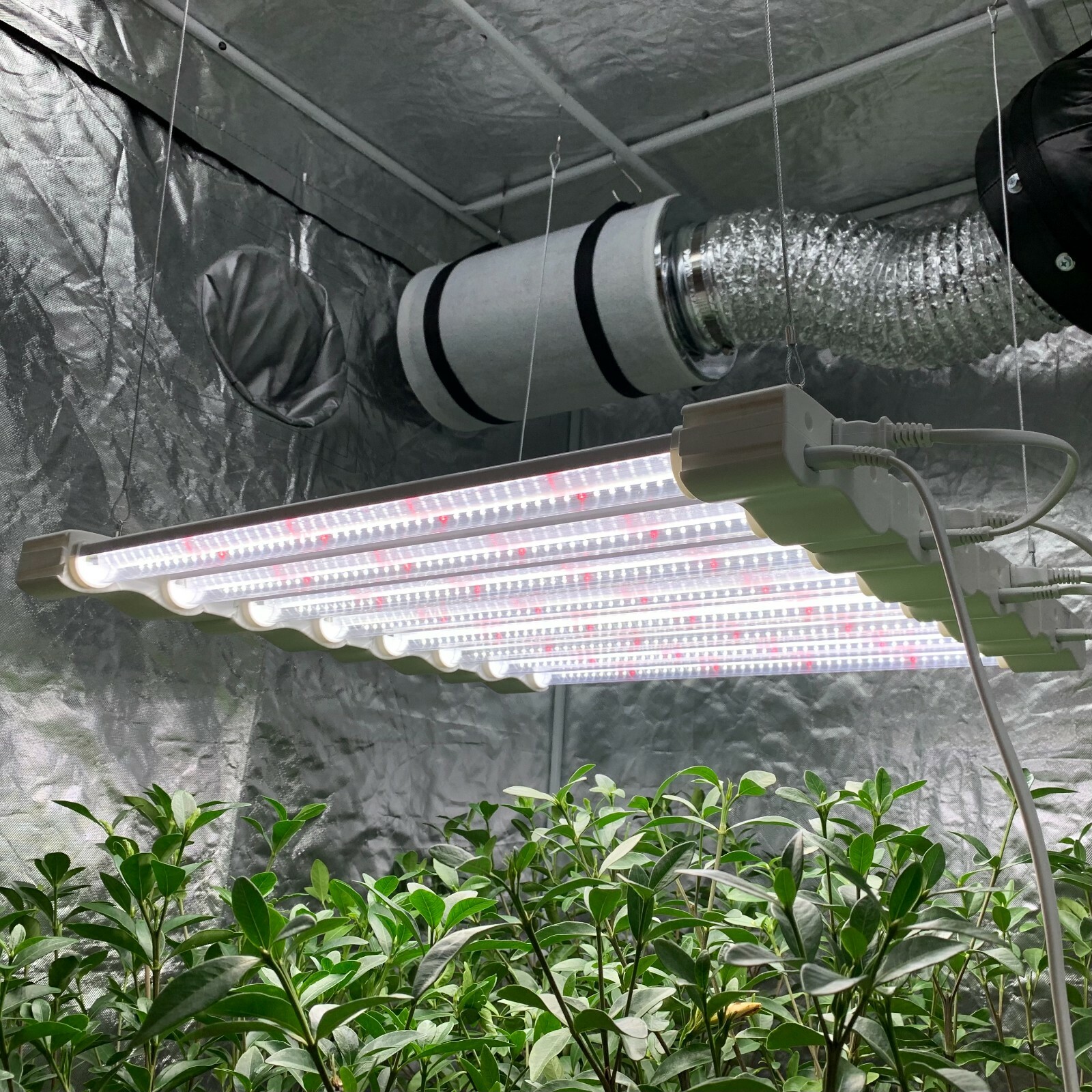 LED Grow Light Full Spectrum Linkable Seedling Veg Hydroponic Growing Lamp