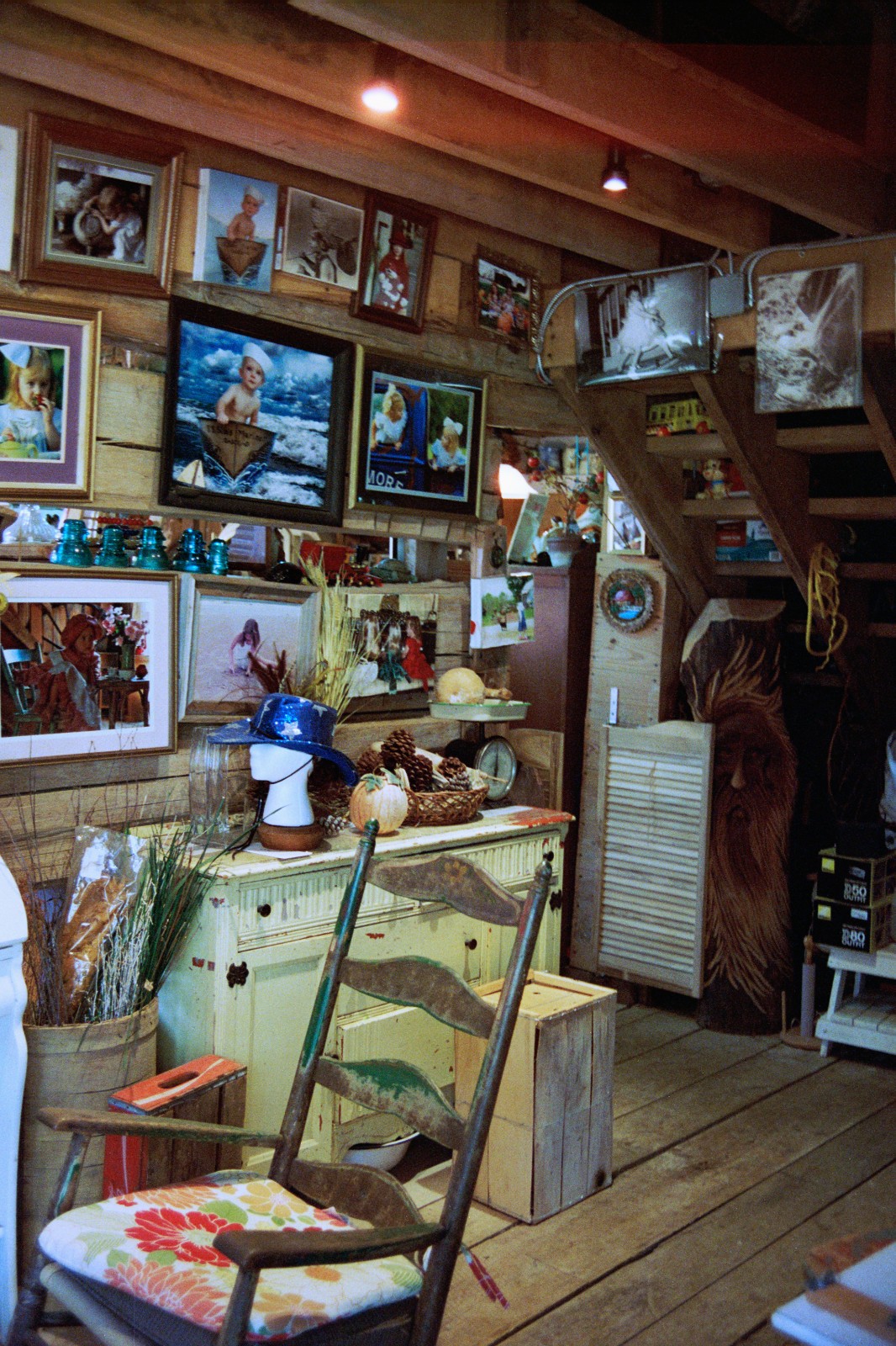 NIGHT ALIEN - 35mm Color Negative High Speed Film 800D - 36 exp C-41 BRAND NEW