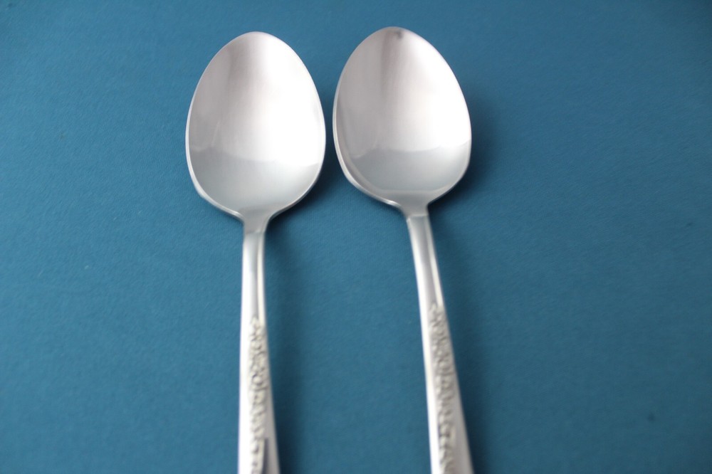 Oneida SPRING GLEN Serving Tablespoon (2pc Set) Stainless Canada 8"