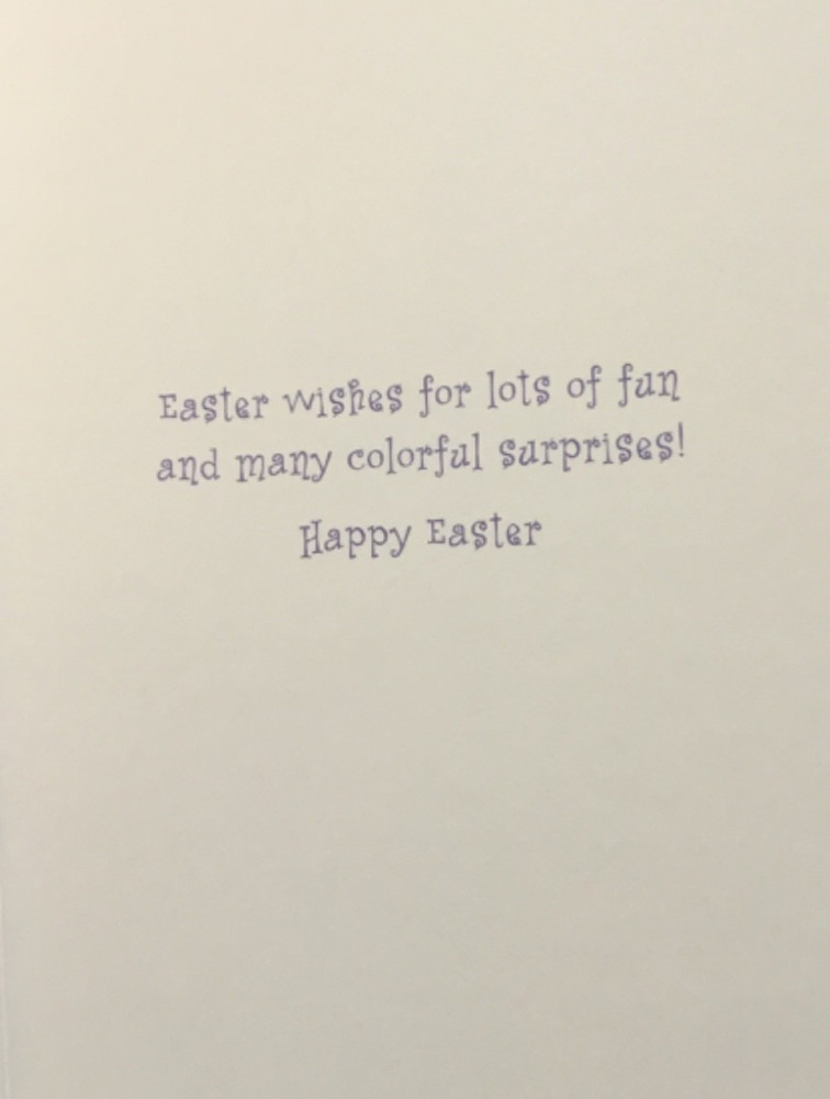 Marcel Schurman- Easter- KID- Rabbit & Bear Painting Egg