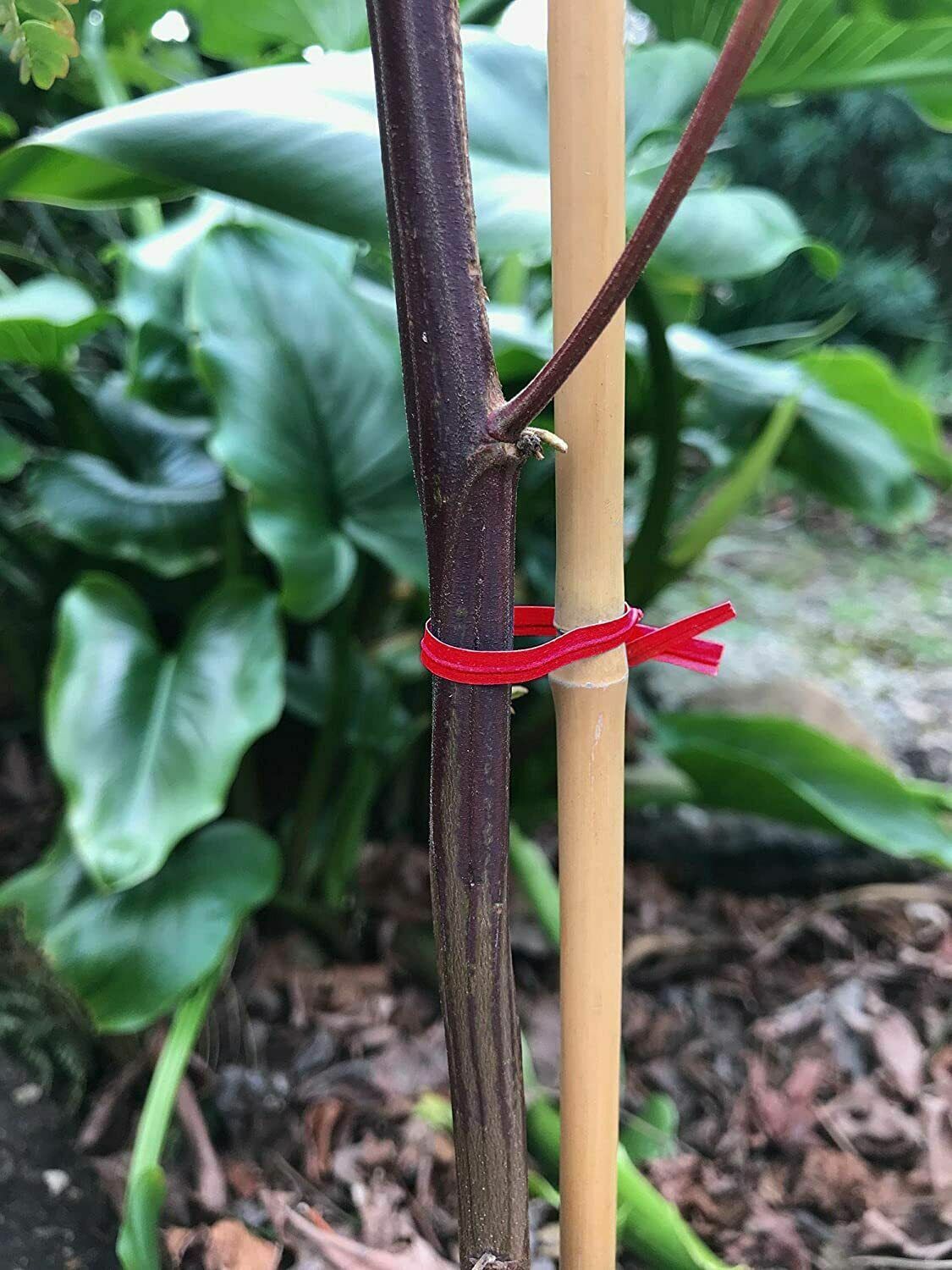 New uline 4 inch red plastic twist ties gift ties cable ties - s-2505bl