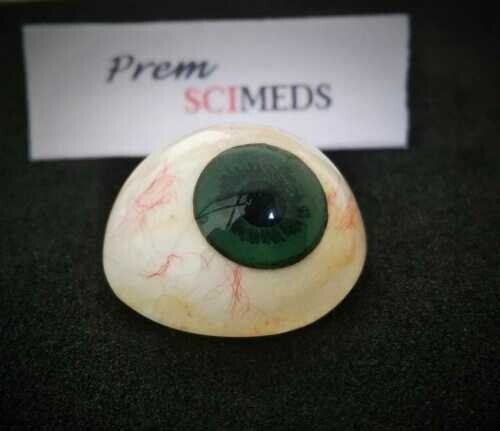 SciMed's Ocular Prostheses Artificial Human Prosthetic Eye & Sterilized Case