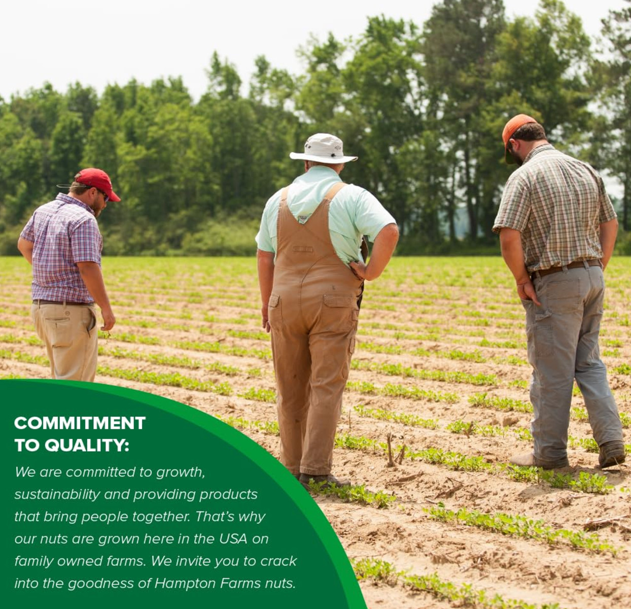 4x Jars Hampton Farms Creamy Peanut Butter Spread 16oz Made in USA NC