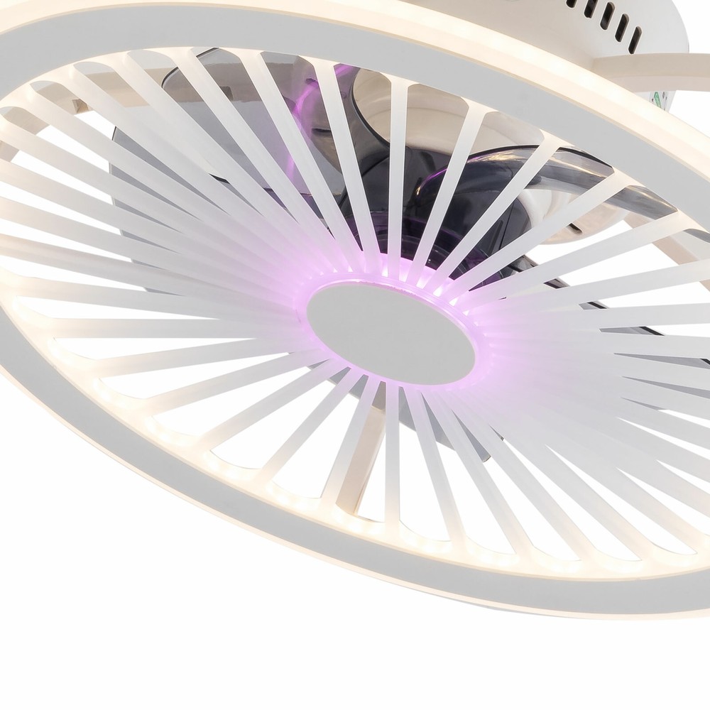 Ceiling Fan Light 48W Dimmable LED Light Flush Mount Lamp Remote Control,Timing