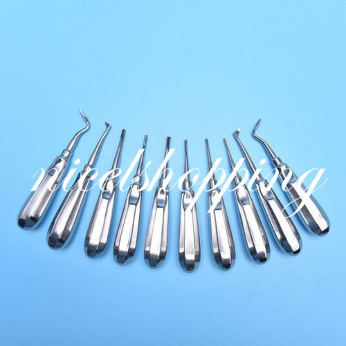 10Pcs/set Dental Stainless Luxation Tooth Extraction Root Elevators Luxating Ele