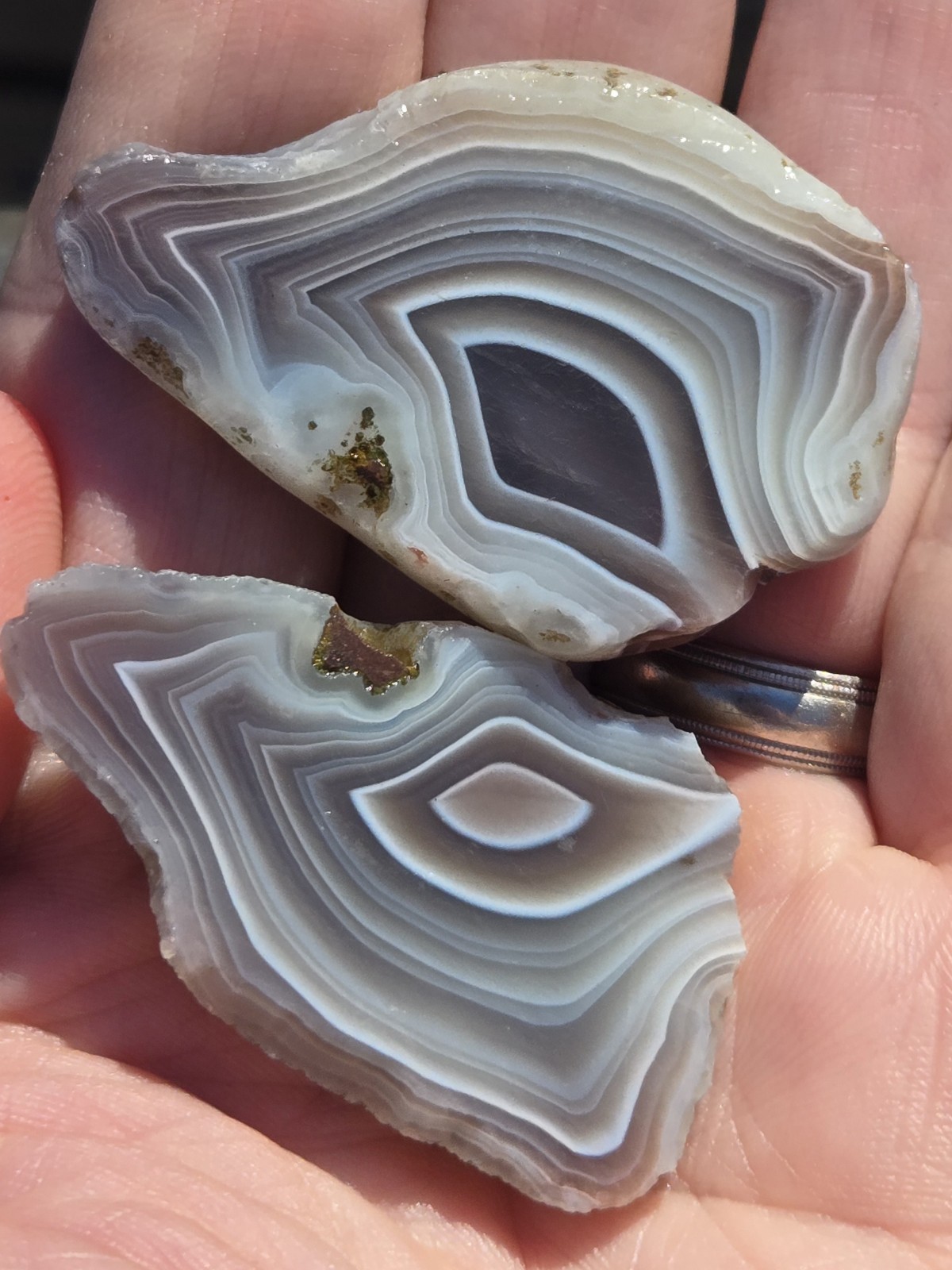 Botswana Agate Cut In Half - Rough, Natural, Not Polished