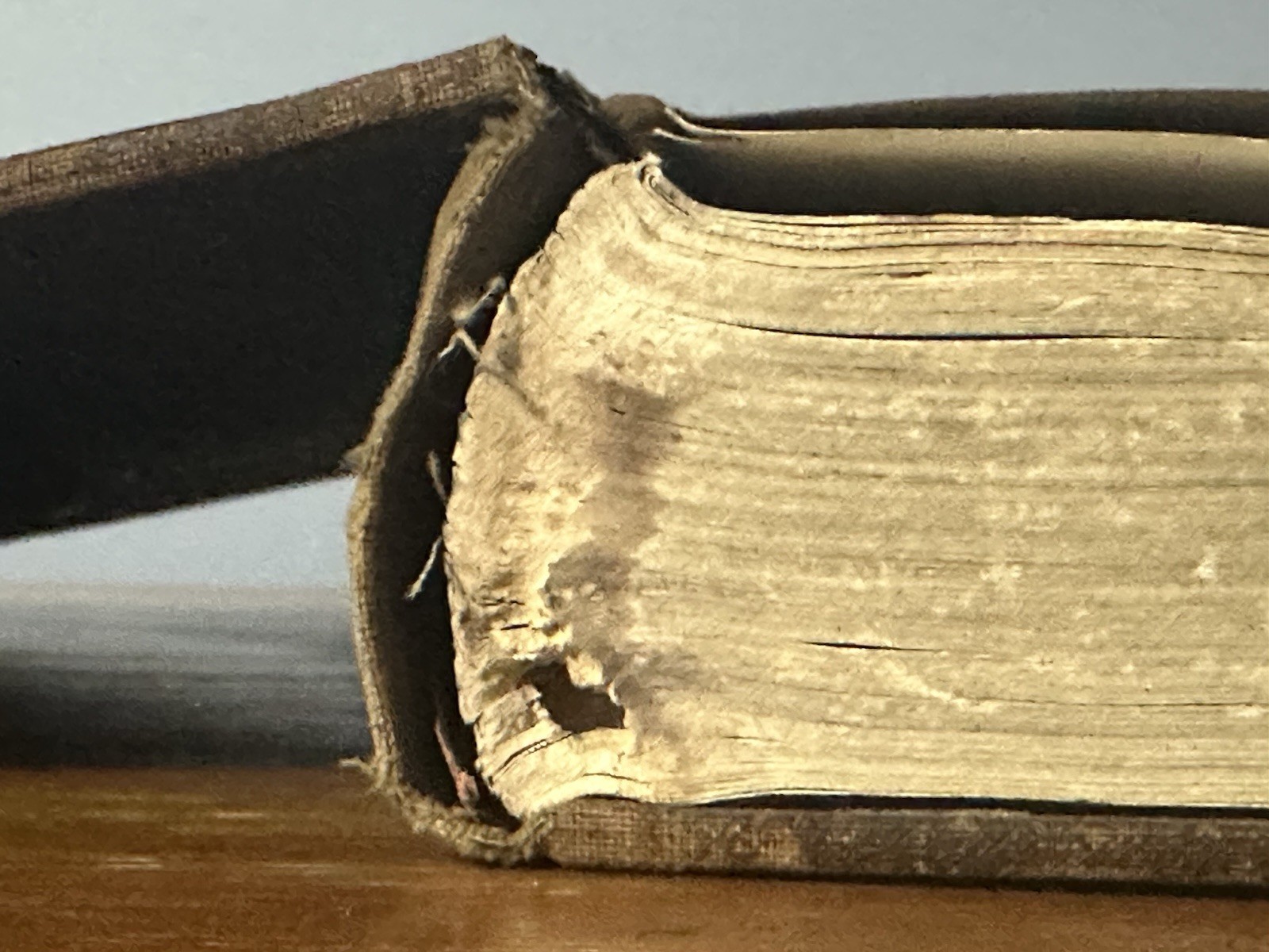 Antique 1919 Knox County In The World War WWI Era (Tennessee) (Shelf 1A1) Book