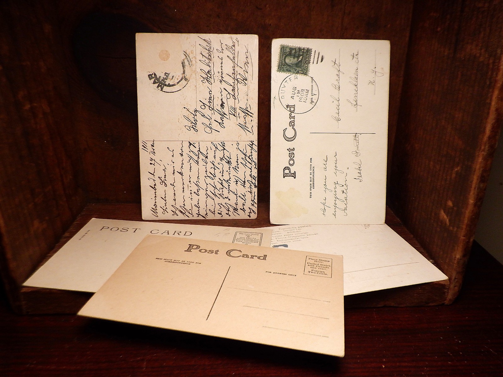 5 Antique HUNTING DOGS w/Hunter Postcards - English/Irish Setter Gun Bird Dogs