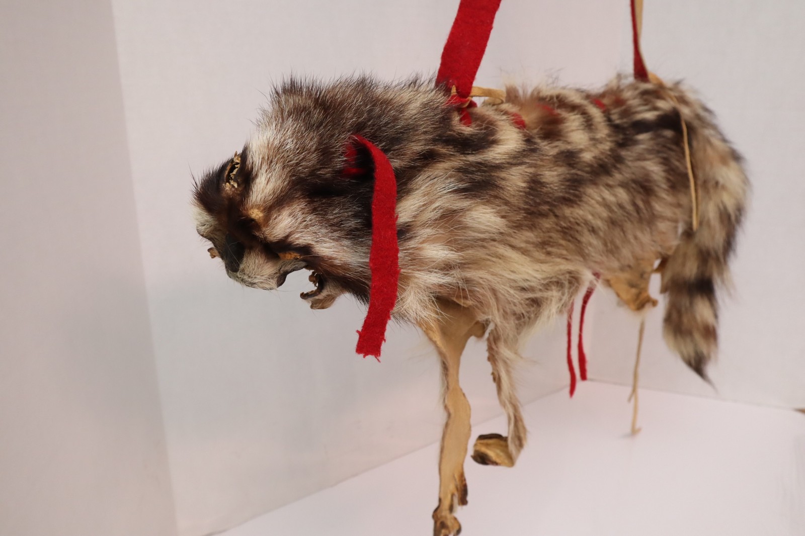 NATIVE AMERICAN INDIAN INNER Badger HIDE LEATHER POUCH BAG PLAINS