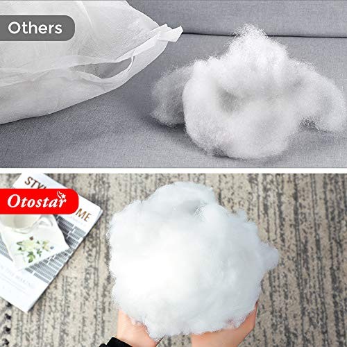 Outdoor Throw Pillow Inserts - Pack of 2 Water 20x20 Inch (Pack of 2) 2 Pack