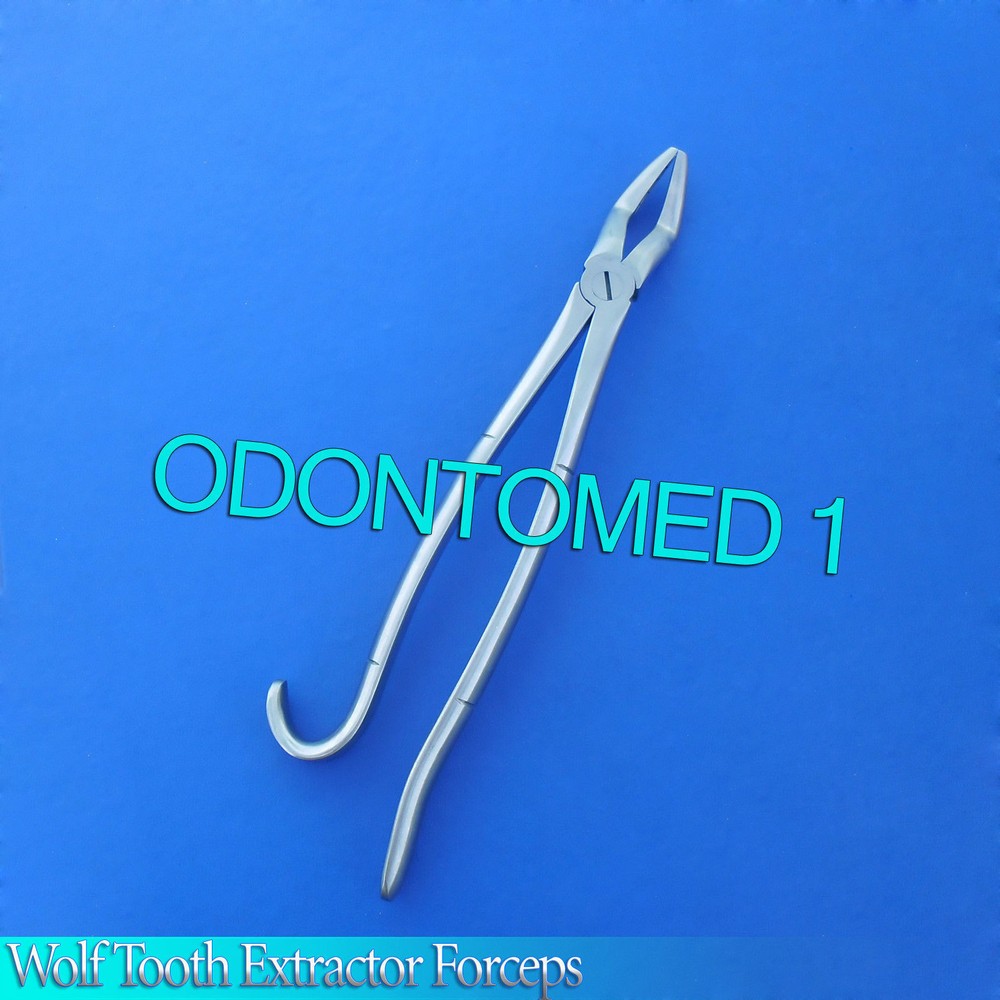 WOLF TOOTH EXTRACTOR FORCEPS 11" DENTAL EQUINE INSTRUMENTS