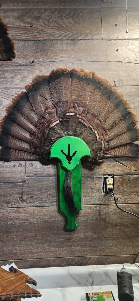 Turkey Fan Plaque Box Call Handle Spring GREEN