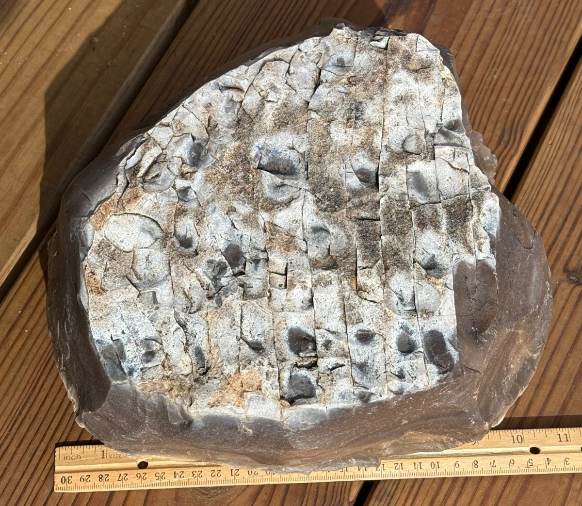 LARGE 30.4 lb Texas Flint Edwards Plateau Chert Nodule Garden City TX Knapping