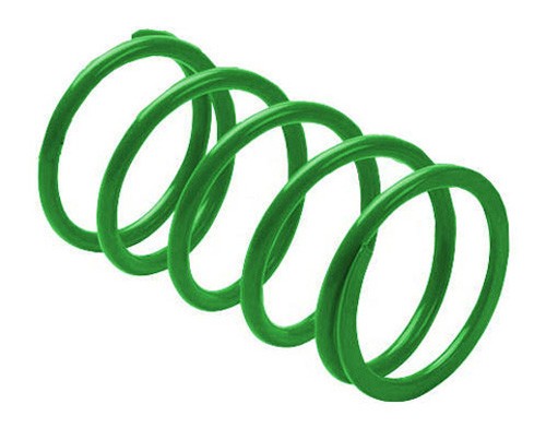 EPI PERFORMANCE ERLANDSON CLUTCH SPRING ,GREEN PEBS8