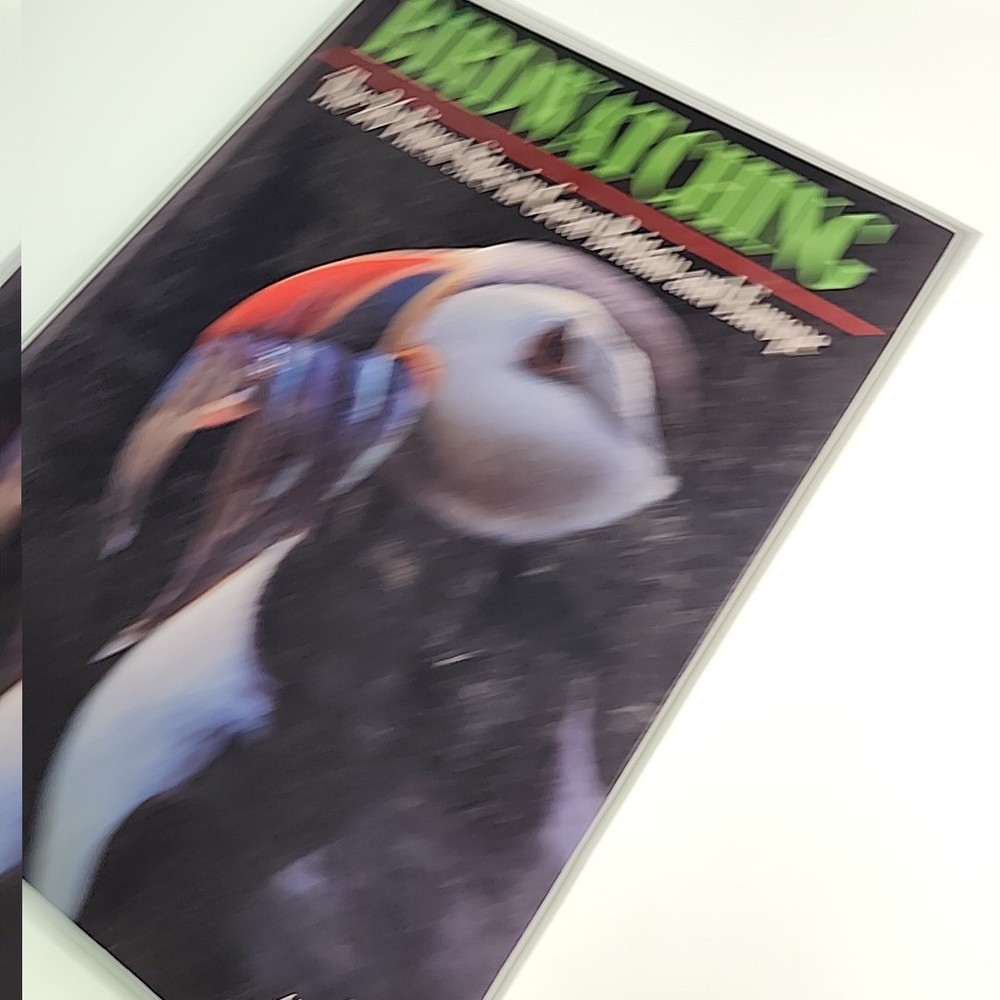 Birdwatching Angelo Gandolfi 1995 Hardback Book