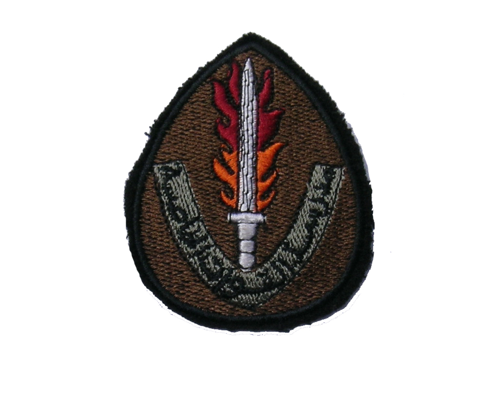 Lebanese Army sleeve patch