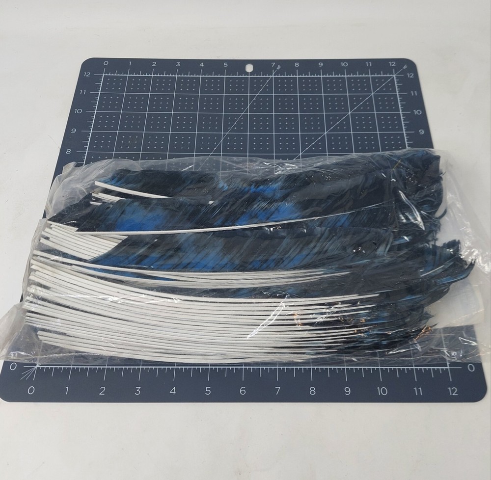 Gateway Feathers FULL LENGTH Tre Blue Right Wing 100 Pack: FLRTBNL-100
