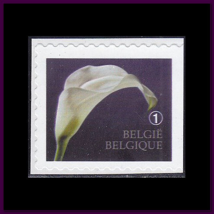 Belgium 2013 (4368) Mourning Stamp