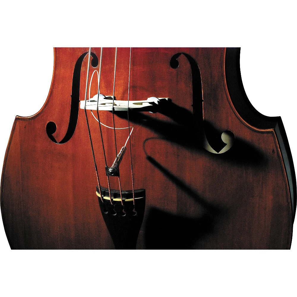Fishman Full Circle Double Bass Pickup