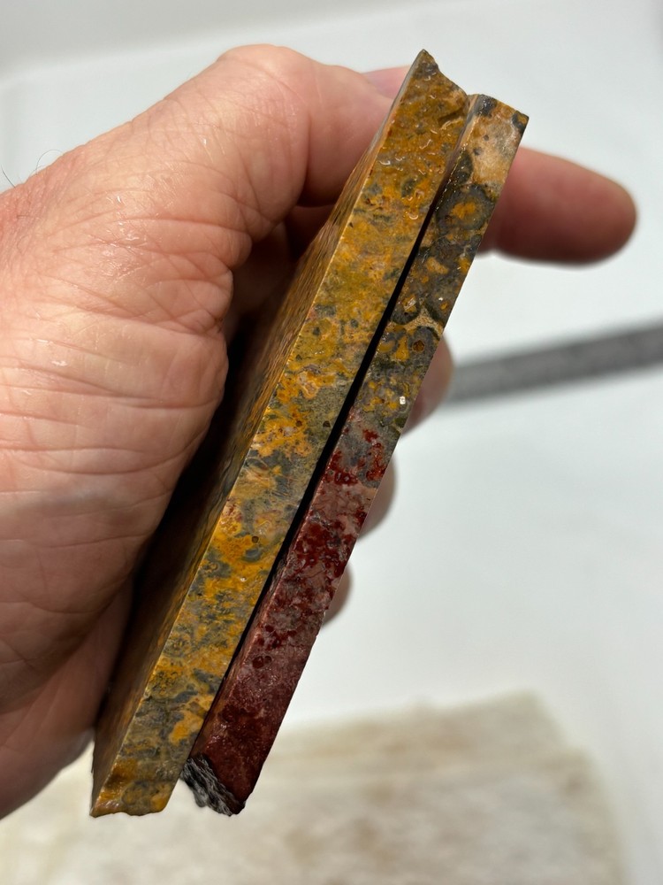 Orbicular Leopard Skin Jasper Slabs Lapidary Cabbing Combo Ship Avail