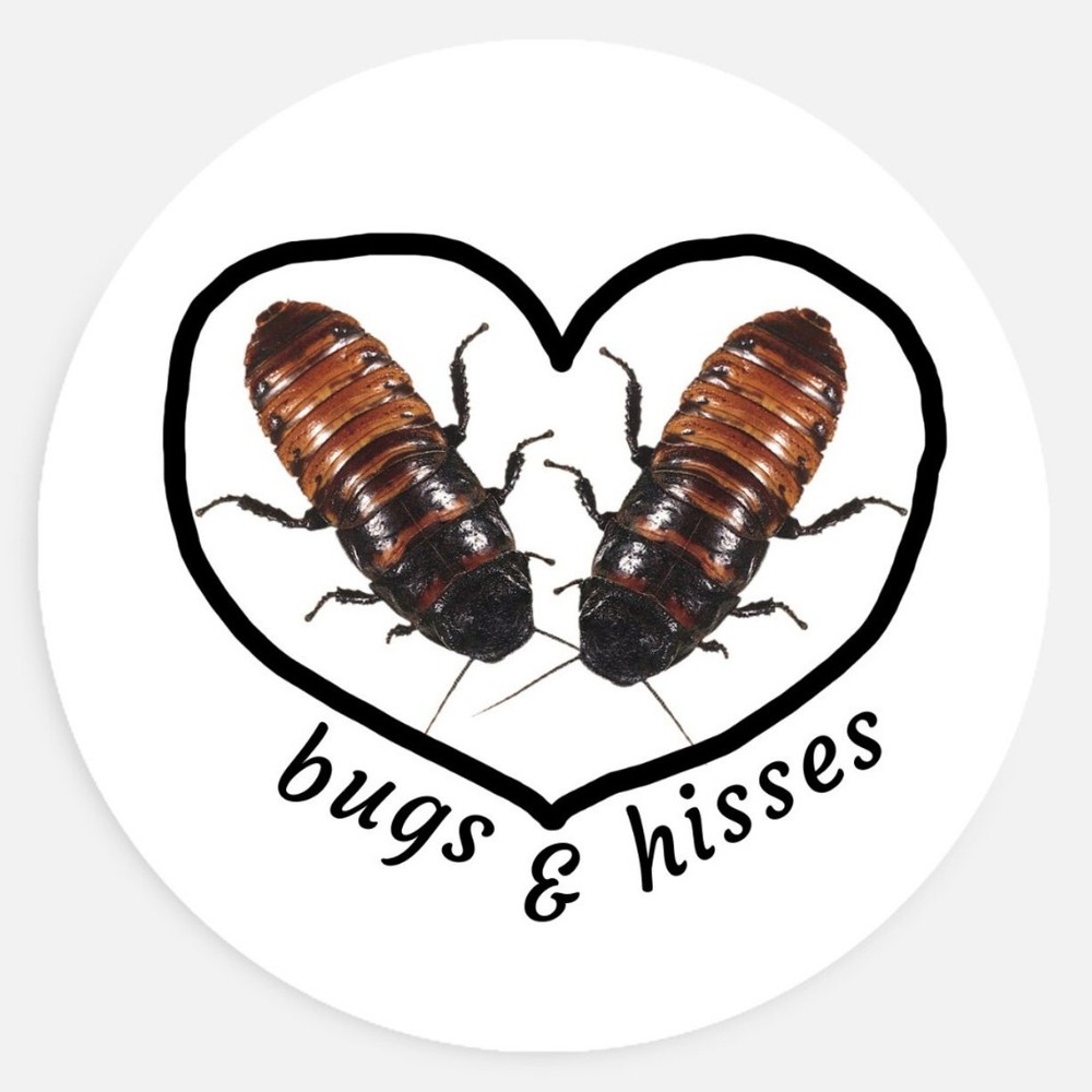 Bugs and Hisses cockroach 1.5in sticker