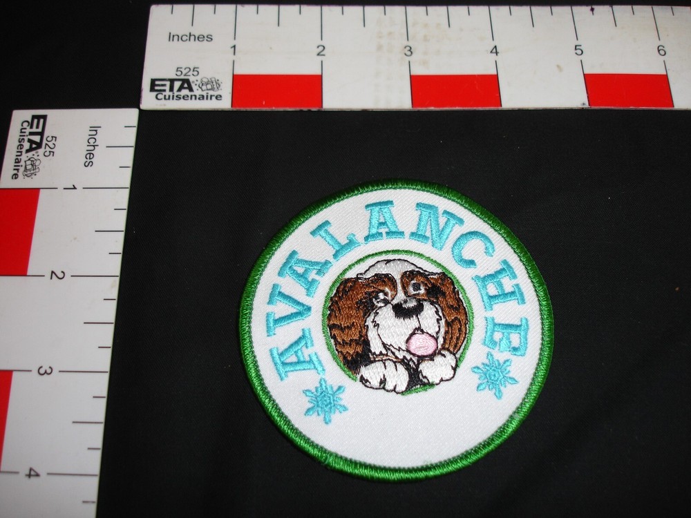 Skiing patch vintage ski patch