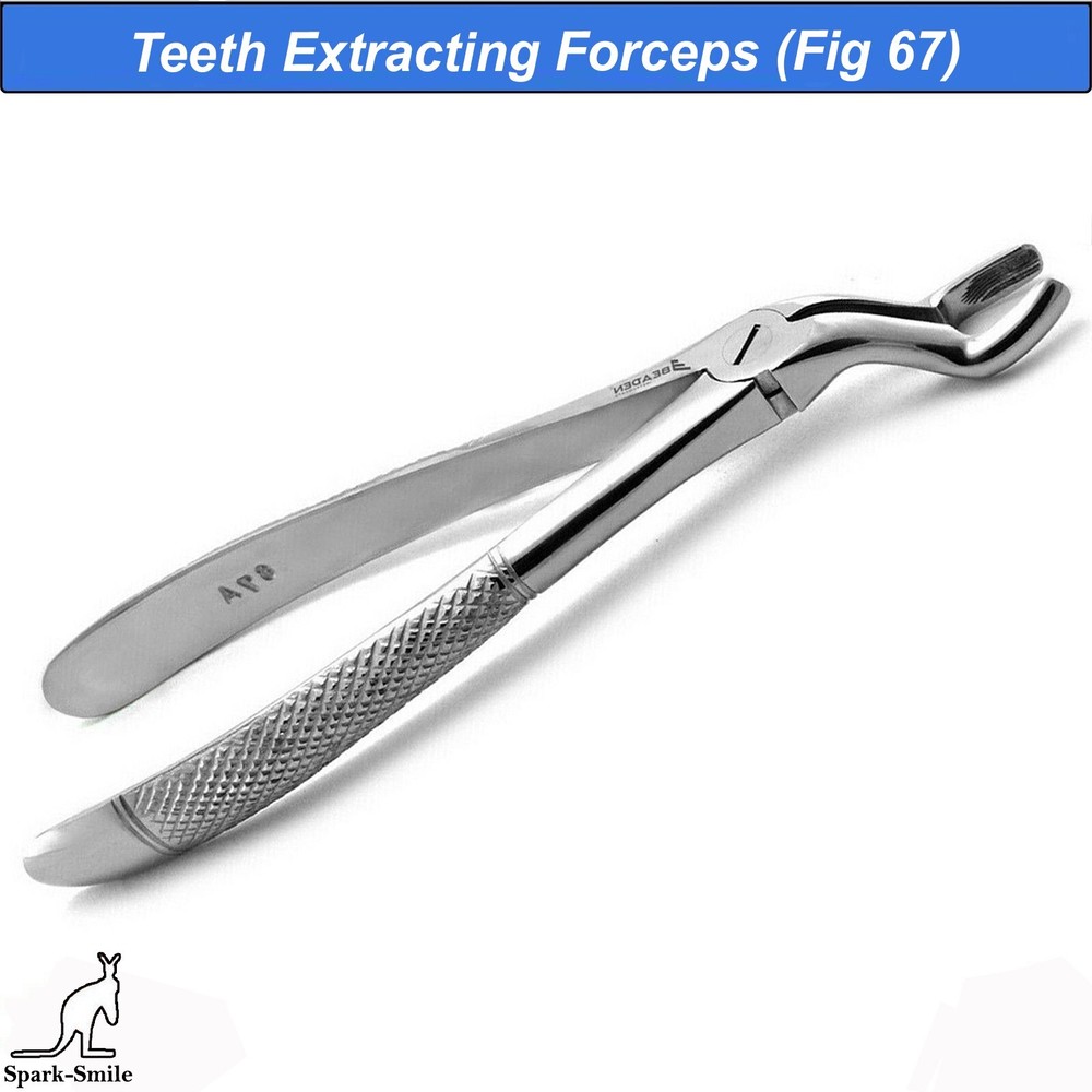 Dentistry Tooth Extraction Forceps Fig. 67 A Surgical Instruments Dental Forceps