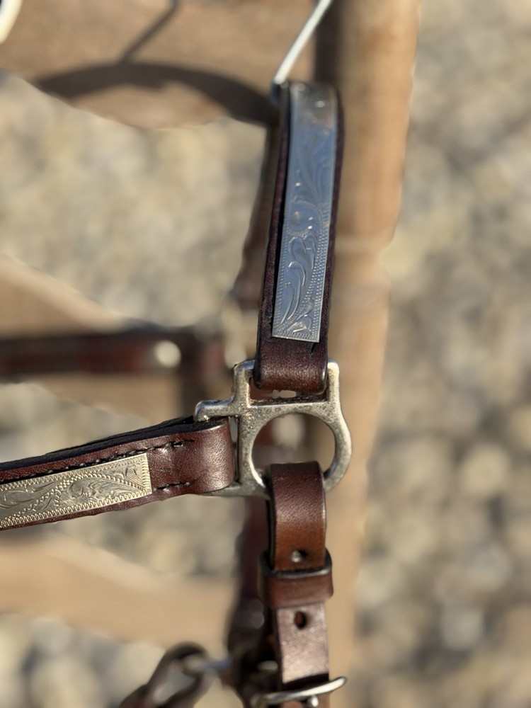 Circle Y Silver Show Halter- Mare, Supple, Quality 🏆