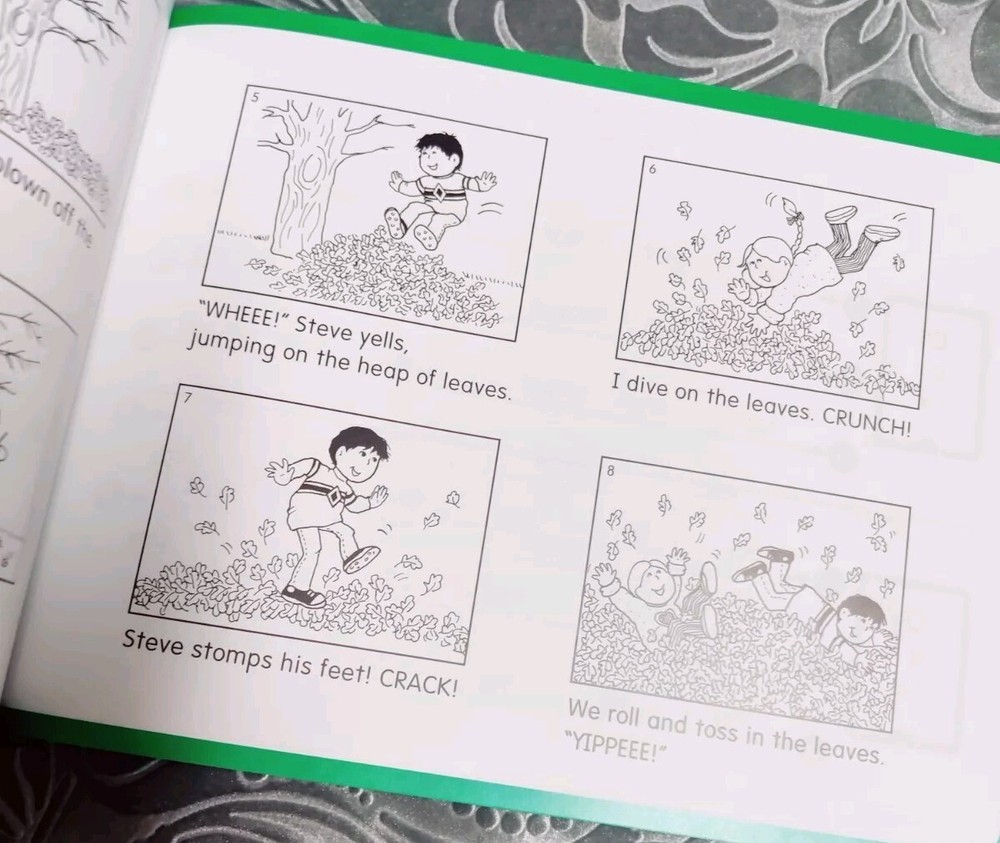 Hooked on Phonics Learn to Read Level 4 Complete Box Set with Workbook