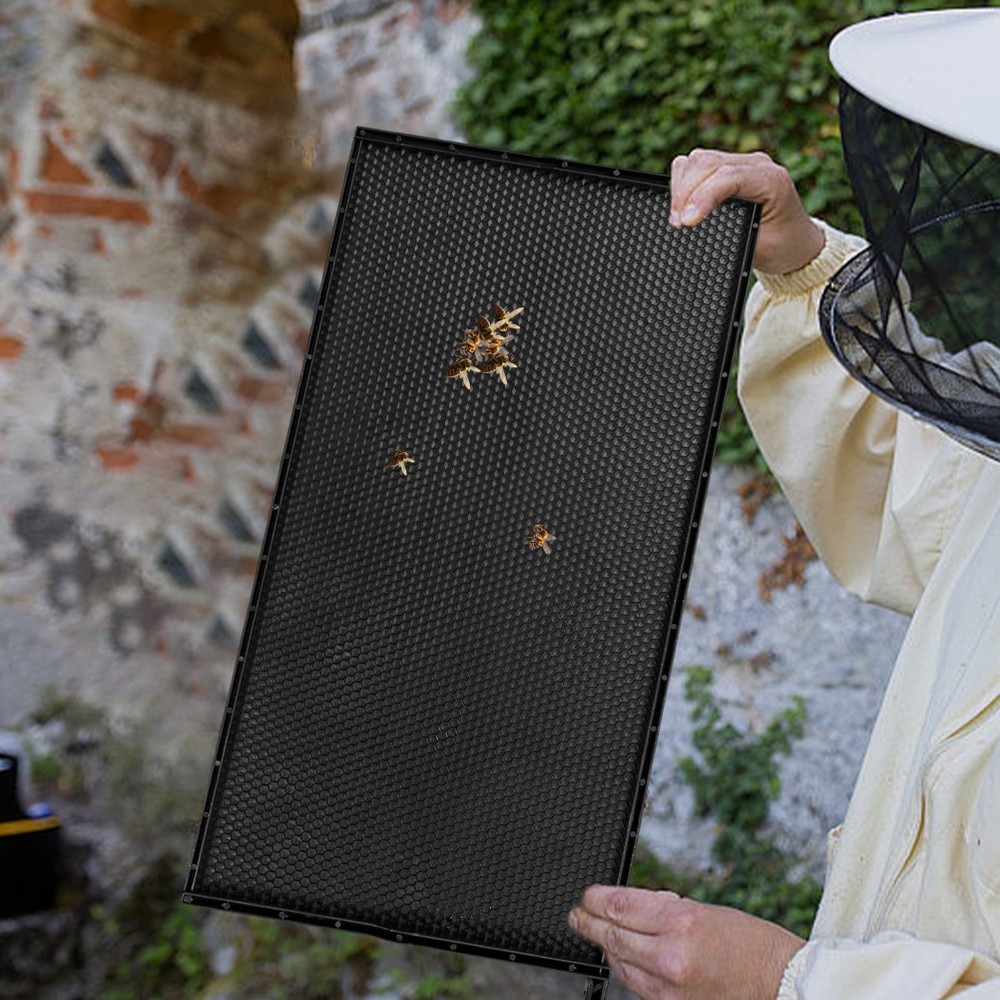 Beehive Frame with Black ABS Plastic and Wax Foundation for Beekeeping Use
