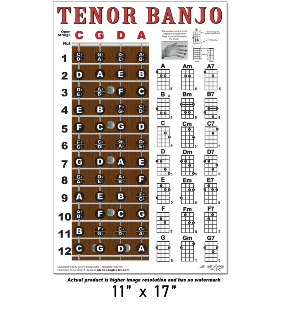 Tenor Banjo 4 String Fingerboard Wall Chord Chart Poster Notes Chords