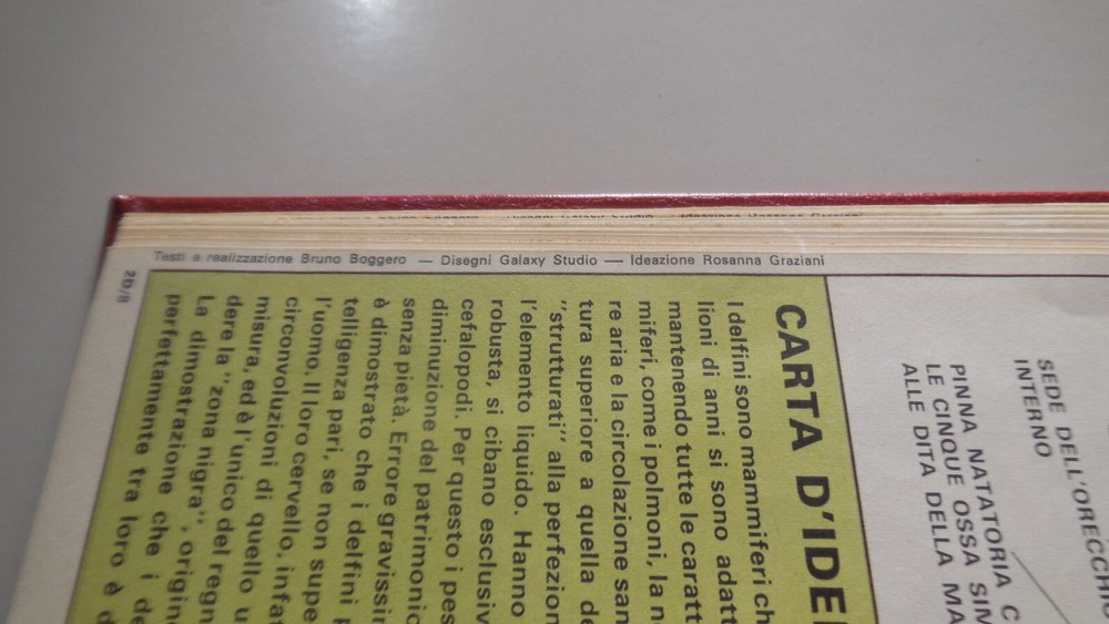 BOUND VOLUME comics RESEARCH GALAXY STUDIO ROSSANA GRAZIANI