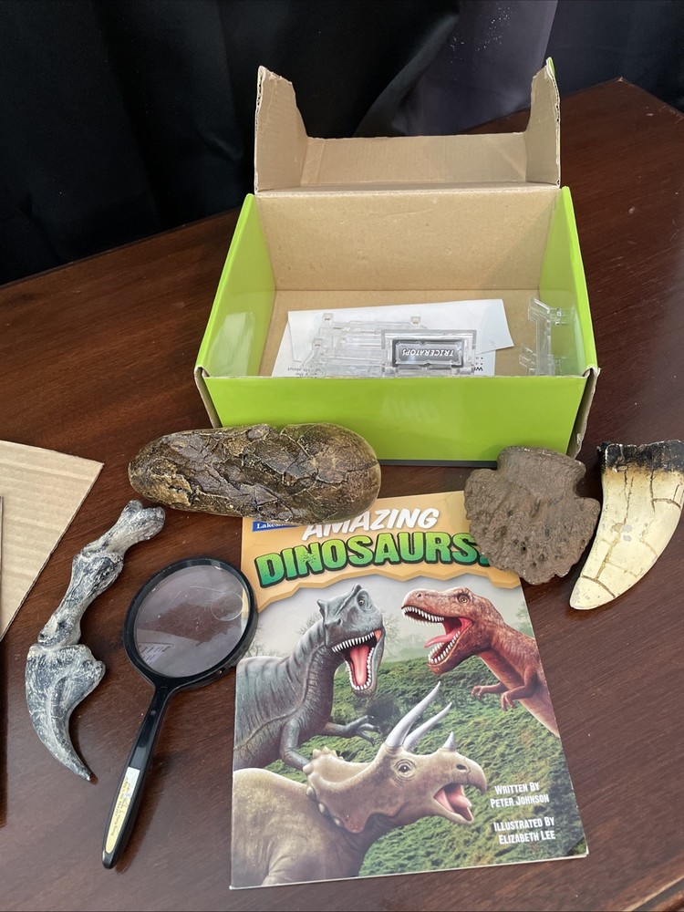 Amazing Dinosaurs! Exploration Kit Lakeshore Learning