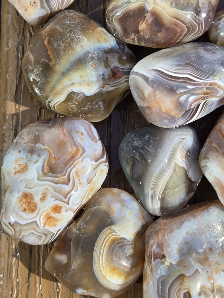 Botswana Agate Selects - ROLLING HILLS - Rough, Natural, Not Polished A+ Grade