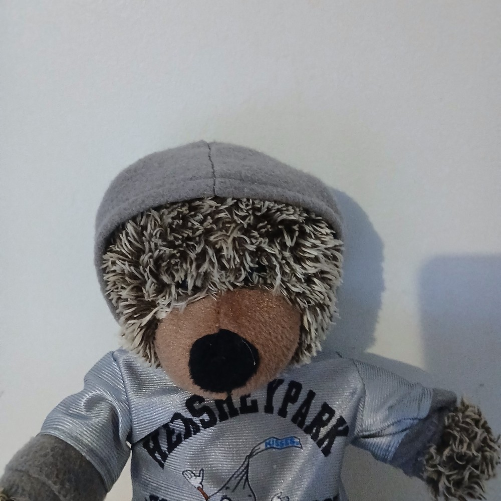 Hershey Park bear from 2015