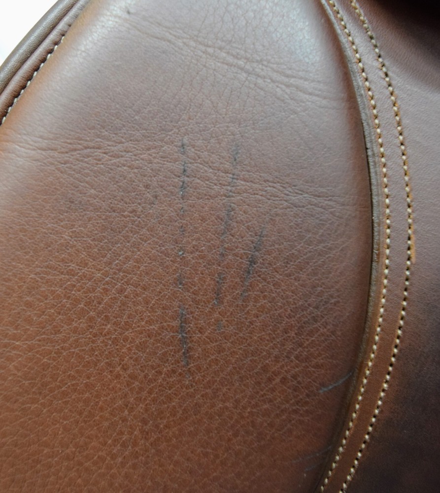 17" Pessoa Amo *Straight Flaps*