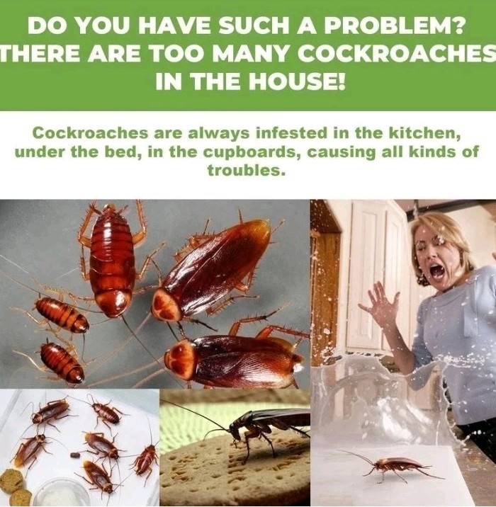 Moonspry Roach Repellent, Domestic Dormitory Kitchen Powerful Cleaning Cockroach