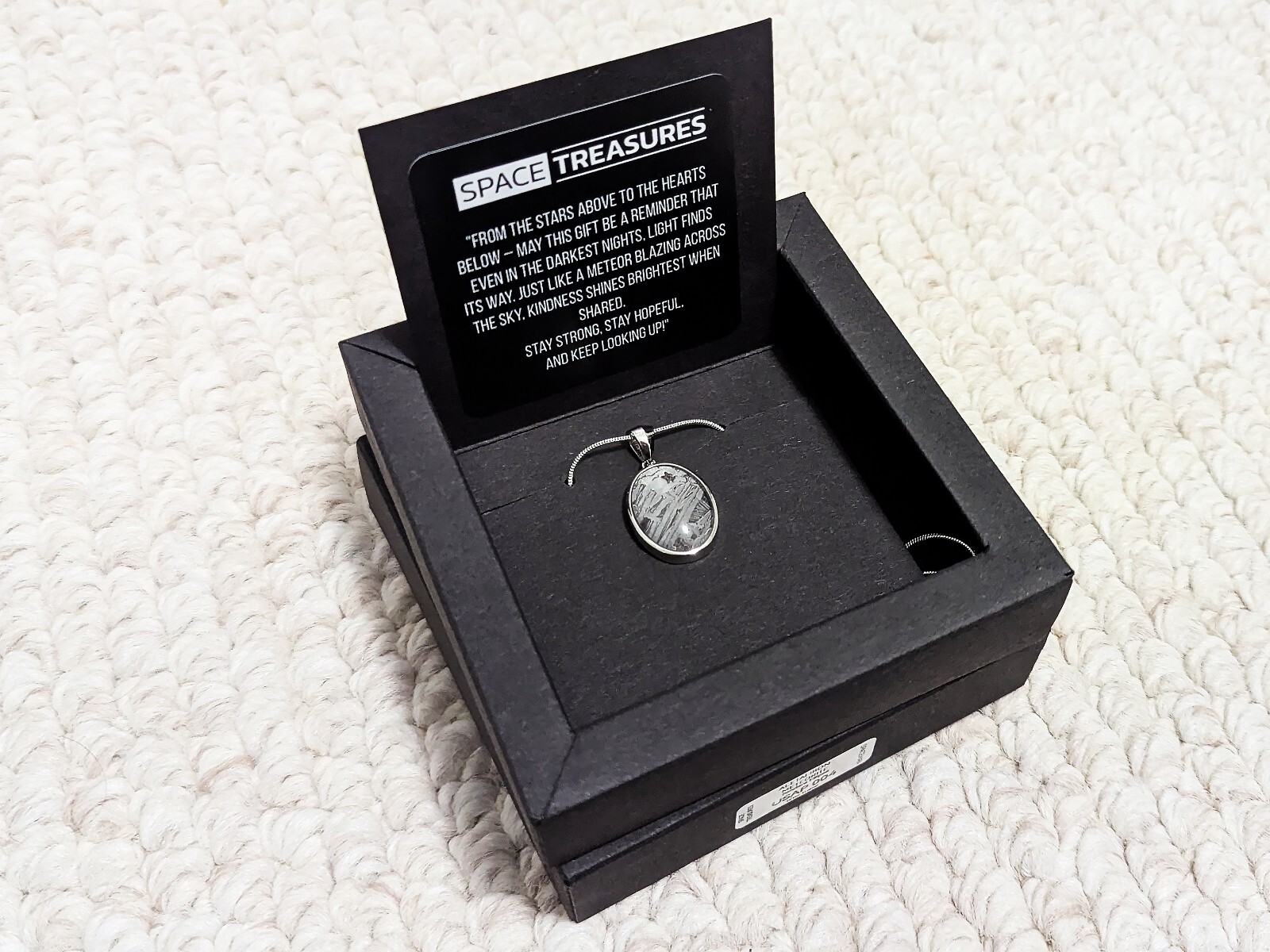 Genuine Aletai Iron Meteorite Pendant, Certified Space Artifact