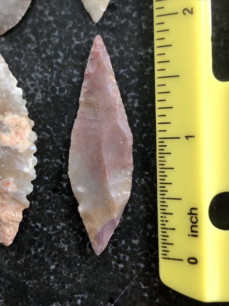 Very Rare Thin Finest Western Sahara 4 Neolithic Translucent Points Pristine A+