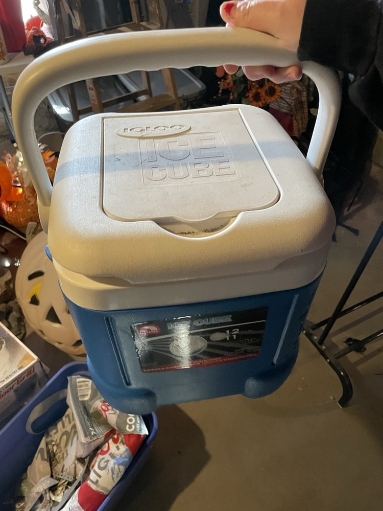 Igloo Ice Cube Cooler