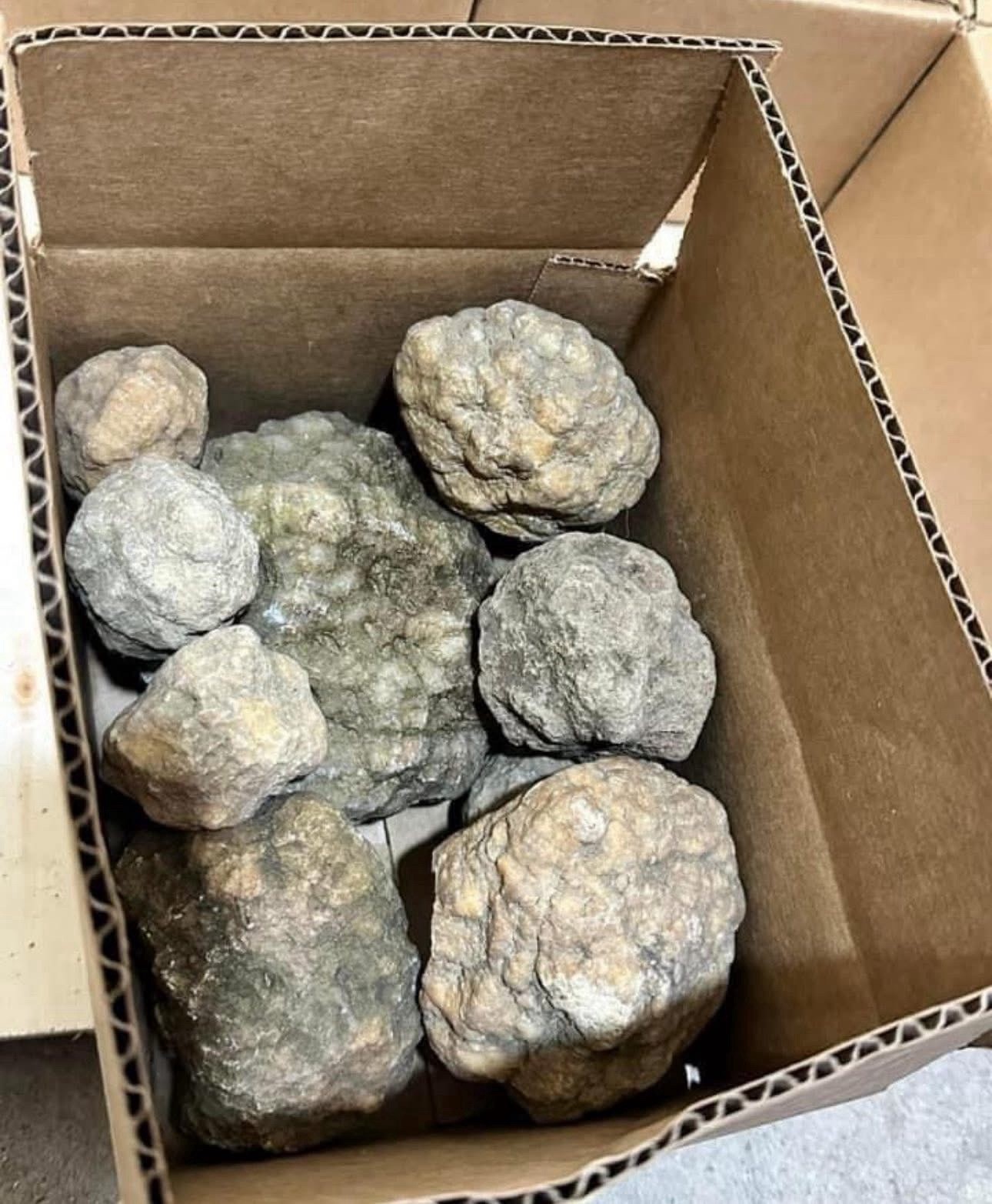 Box Of 10 Whole Natural Kentucky Geodes. FAST FREE SHIPPING! Read Description.