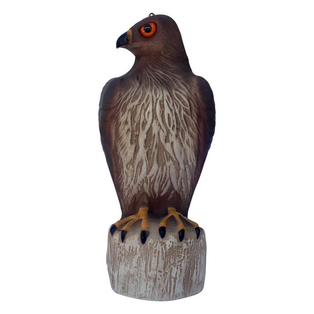 Hawk Decoy Bird Deterrent