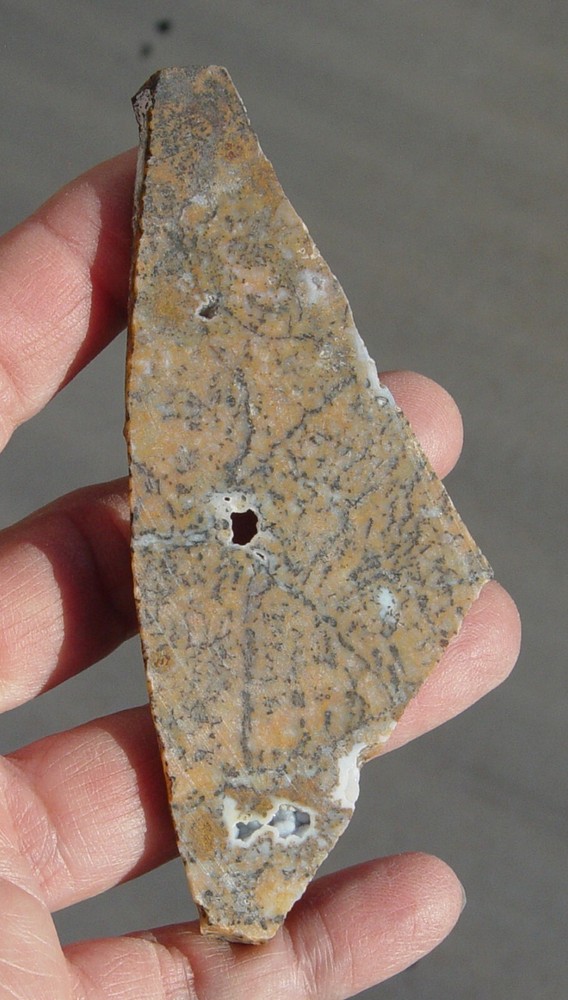 Cheetah Agate Lapidary Slab T988