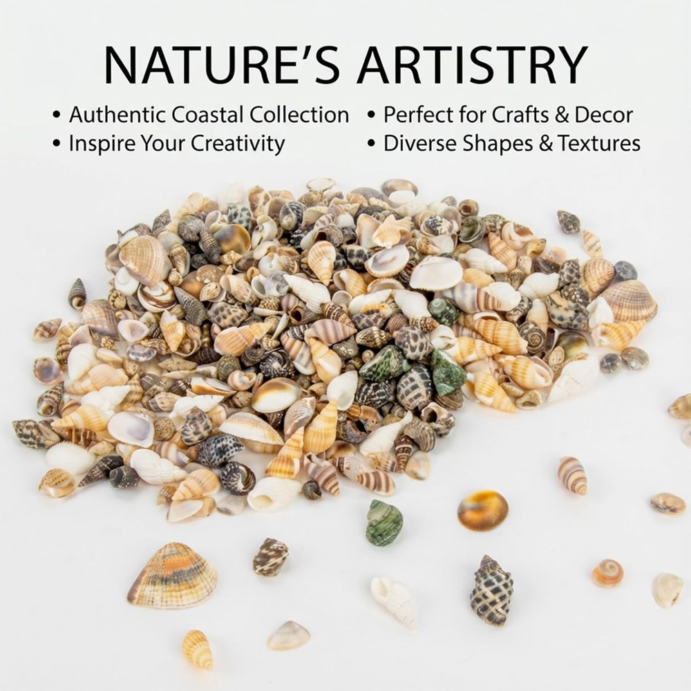 MAQIHAN Tiny Seashells for Crafts - Small Sea Shells Mixed Ocean Beach Shells Bu