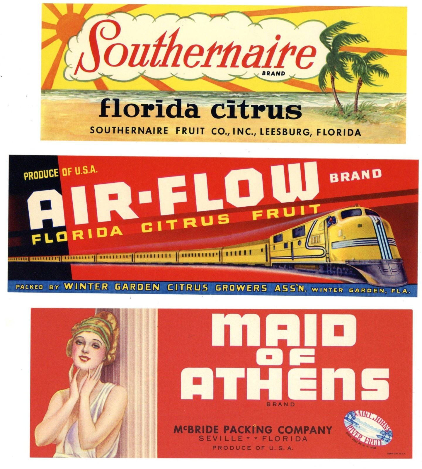 Collection of 25 Different Florida Citrus Labels **ORIGINAL FRUIT CRATE LABELS**